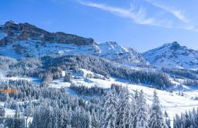 Agriturismo Anví - Photo 37