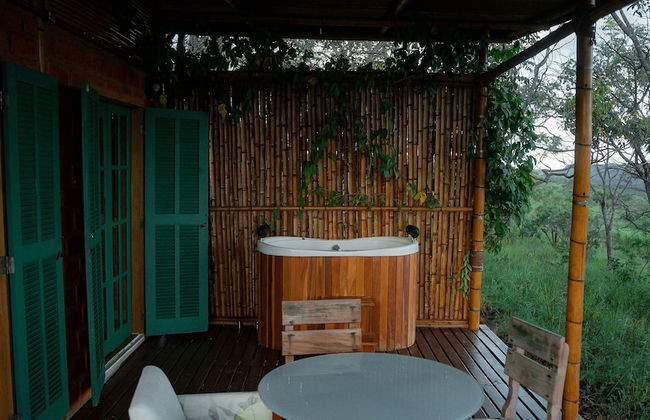 MORRO DA LUZ - Foto 58