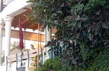 Lentas Royal - Foto 19