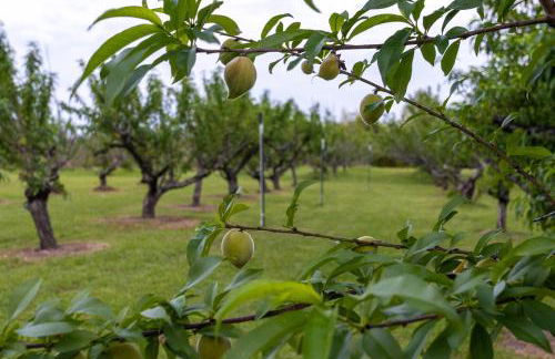 Charming Cottage on 7 acres with Pond - Foto 21