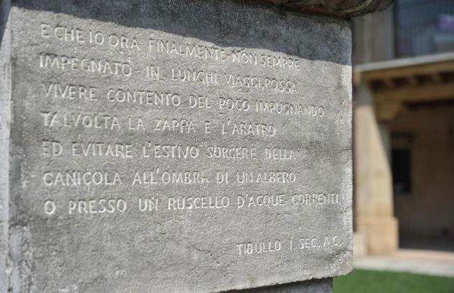 Corte Breda Agriturismo Bed & Breakfast - Foto 71