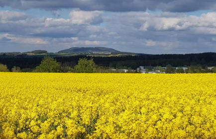 Ferienwohnung Hillig - Foto 35