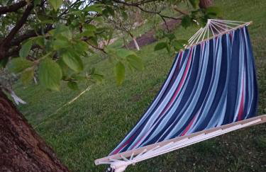 DOM w JESIONACH Brajniki - działka 1 HEKTAR - Photo 26