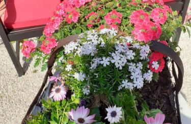 Le petit atelier - Foto 40