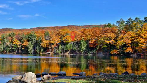 Lakeside Lodge at Fern Lake - 3BR, 1BA Waterfront with Dock - Foto 3