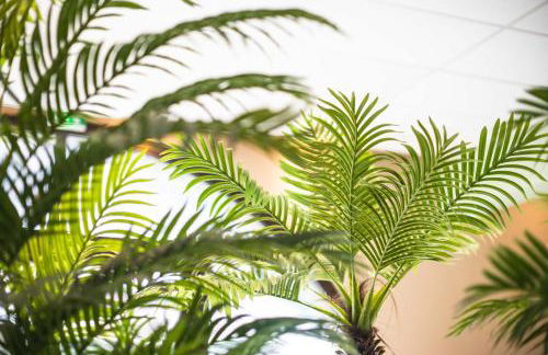 Le Rioumajou 2 - Grand T4 - Piscine - Centre St Lary - Foto 57