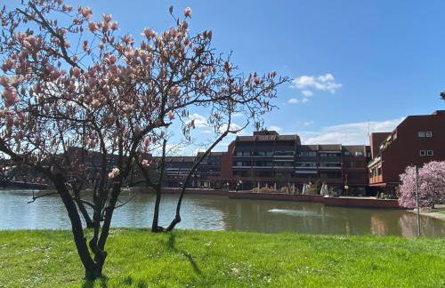 Casa Bei Sogni - Foto 32