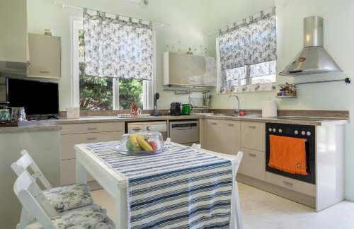 Psathi Seaview House - Foto 11