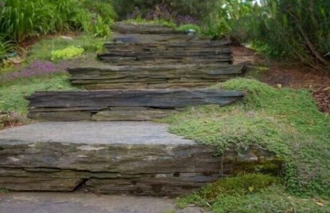 597a Topnotch - Foto 26