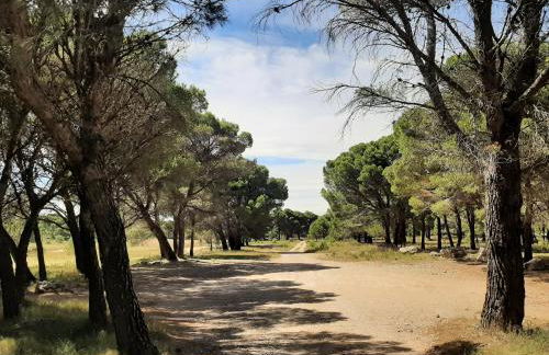 CASA RURAL "ECCEHOMO de BORJA" - Foto 77