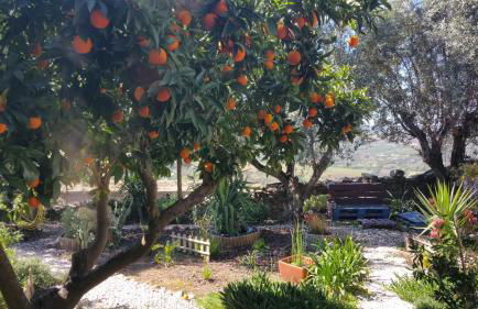Casas Letizia e Sebastião - Foto 46