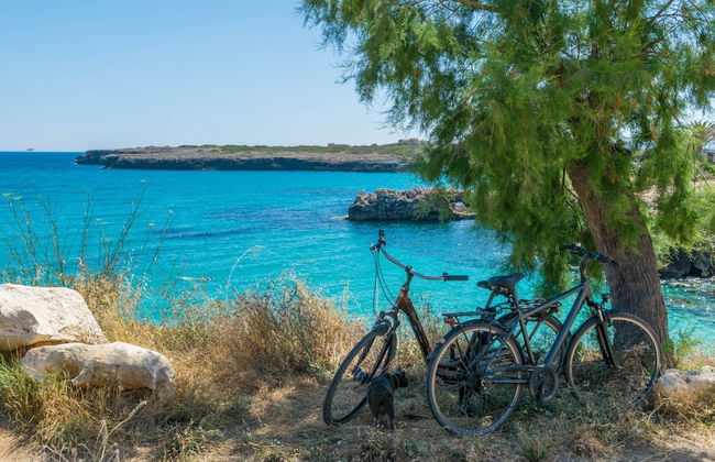 Cala Rafalino in S Illot-cala Morlanda - Foto 17