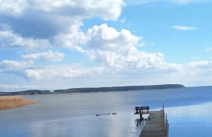 Fischstübchen Neeberg Apt 1 – Wald und Wiese - Foto 32