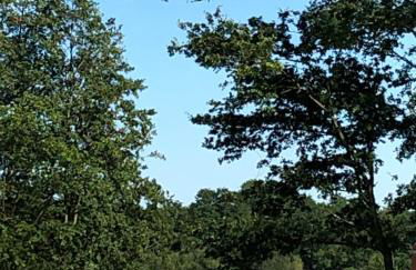 Ferienhaus am Harkebrügger See - Foto 37