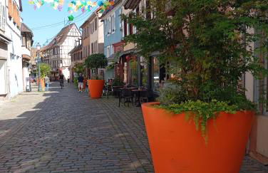 Les charmes de la Kirneck - Photo 35