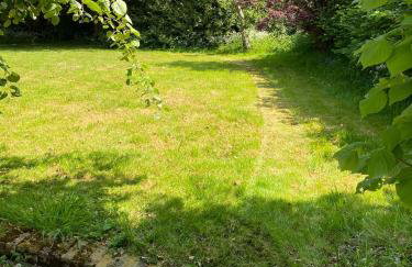 Wood Place - Foto 31