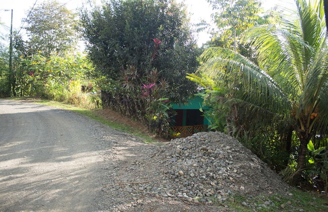 Enchanting House Overlooking the Primary Forest - Photo 9