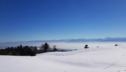 Au Platelet numéro 144 - Foto 4