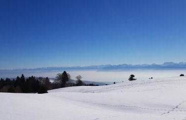 Au Platelet numéro 144 - Foto 4