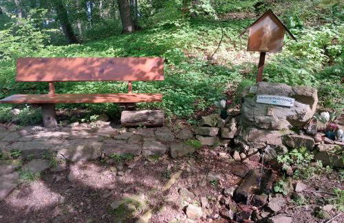 Gorxheimertal 92qm Allergikerfreundlich 2 Schlafzimmer 2 WC Terrasse - Foto 40