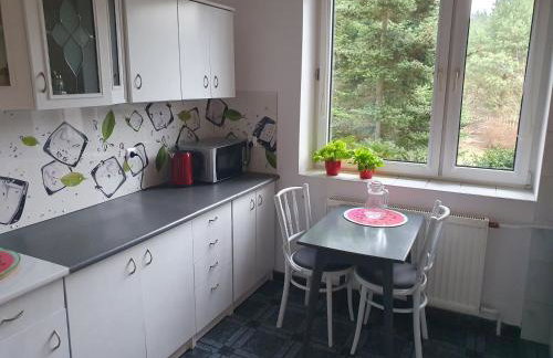 Przestronny, komfortowy dom - Foto 16