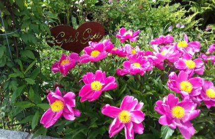 Ferienappartement Donautal - Foto 19