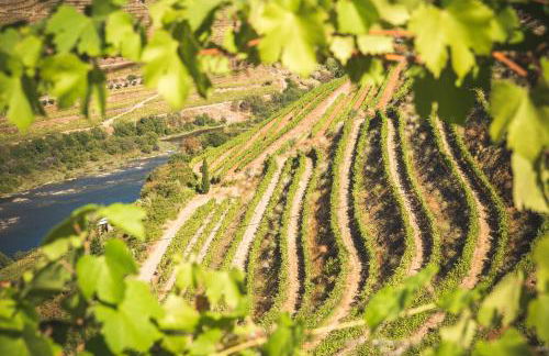 Quinta do Valdalágea - Foto 58