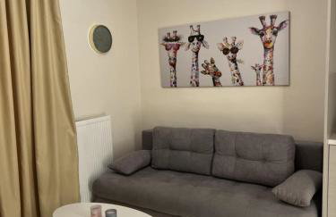 Elegance studio - Foto 15