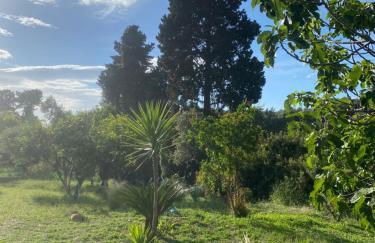 Casa Piccolino - Foto 38