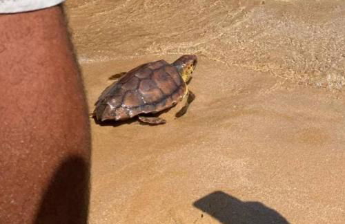 Fronte Mare - Foto 37