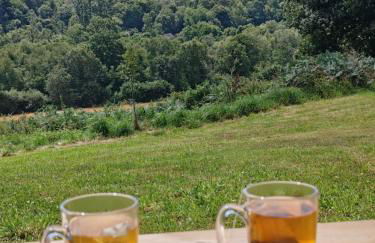 ar prad kirvi - Foto 16