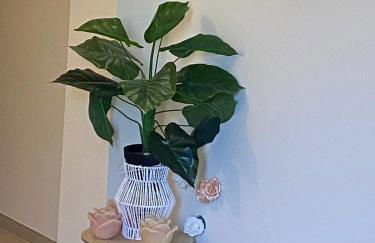 Appartamento Giardino - Foto 5