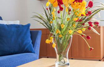 Alejo Fernandez Dreams de Santa Cruz Oasis Sevilla - Foto 18