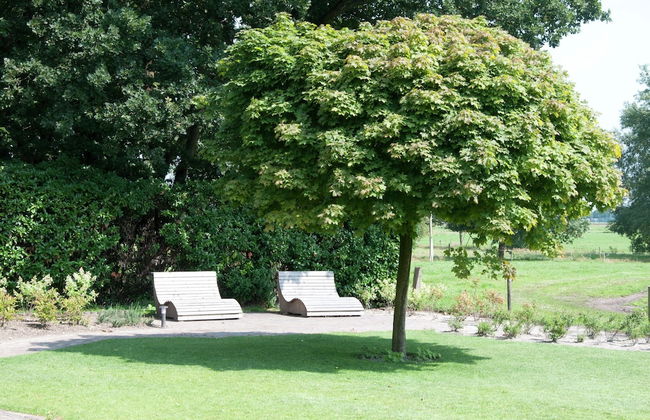 Mansion in Nijensleek With Sauna & Garden - Foto 29