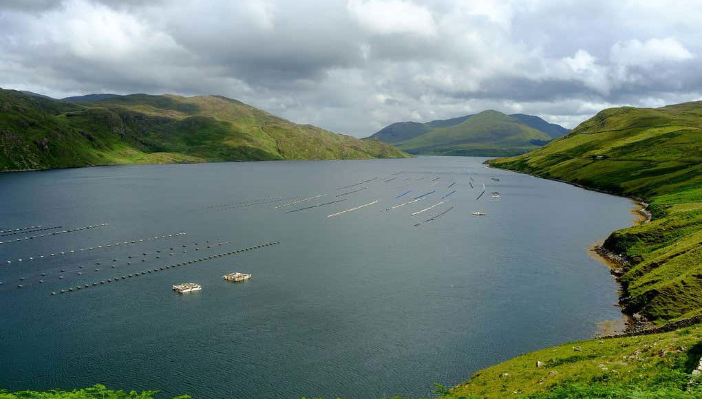 Fiordo de Killary desde las alturas