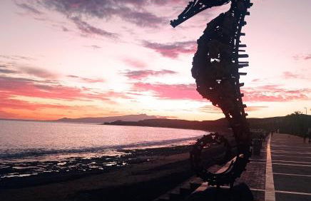 GAVIOTA RELAX - Foto 24