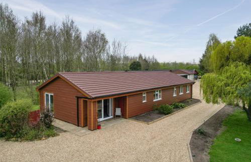 Mallard - Uk41033 - Foto 19