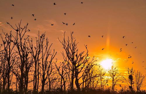 CICHAta Nad Zatoką - Foto 25