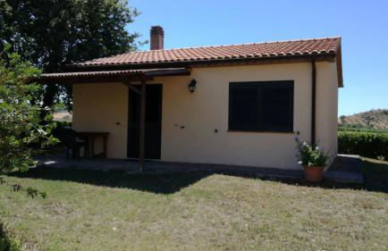 Agriturismo cavallin del papa - Foto 51