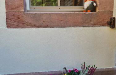 Ancien séchoir du 19ème siècle - Foto 16