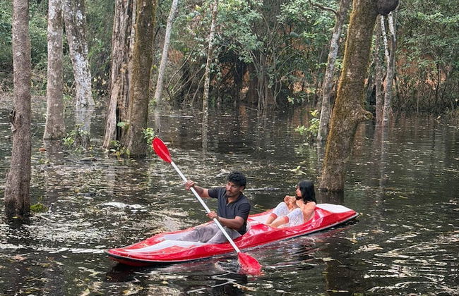 Coorg Tree House - Foto 26