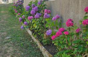 Maison hortensia - Foto 8