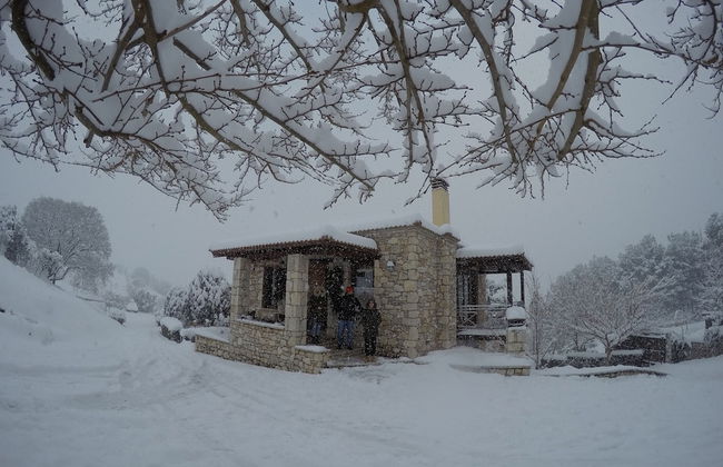 Finday Eco Boutique Hotel - Foto 35