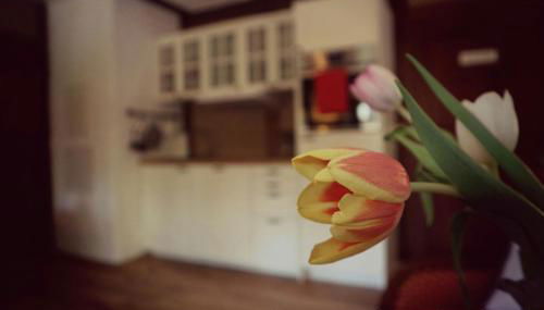 Apartment Grubenhaus20 - Foto 4