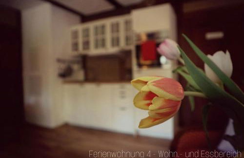 Apartment Grubenhaus20 - Foto 4