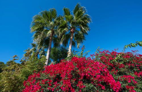 Agroturismo Can Cosmi Prats - Photo 56