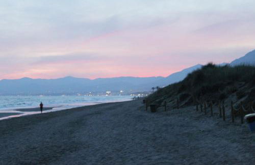 Romana Playa - Photo 40