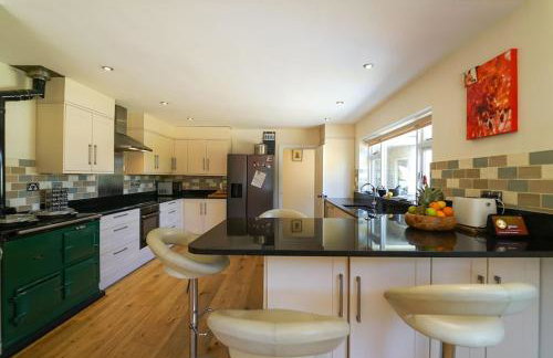 The Quackery - Foto 16