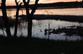 Ferienwohnung Vilzsee - Foto 20