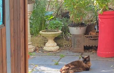 The Retro Retreat with free parking - Foto 22